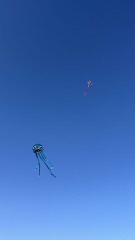 IMG_0881