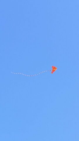 IMG_0887