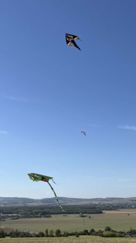 IMG_0926